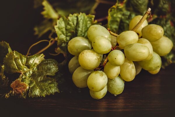Equilibrio Esencial: Nutrientes, Energía Y Bienestar Integral.
