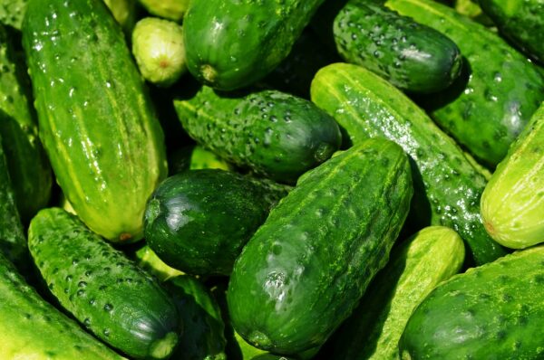 Más Allá De Lo Verde: Innovación En Productos Ecológicos.